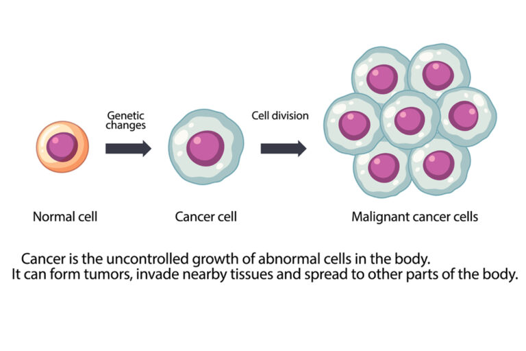 All Solid Maligancies